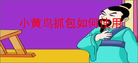 小黄鸟抓包如何使用