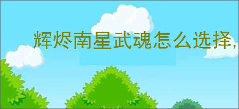 辉烬南星武魂怎么选择,辉烬南星词条搭配推荐