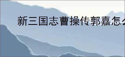 新三国志曹操传郭嘉怎么搭配,新三国志曹操传郭嘉搭配指南
