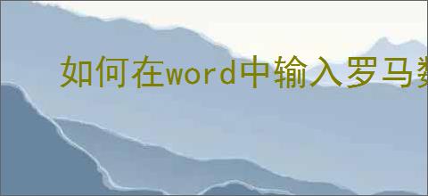 如何在word中输入罗马数字页码