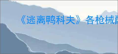 《逃离鸭科夫》各枪械配件数据一览