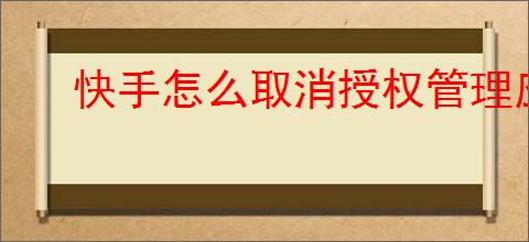 快手怎么取消授权管理应用
