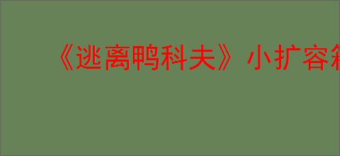 《逃离鸭科夫》小扩容箱使用介绍