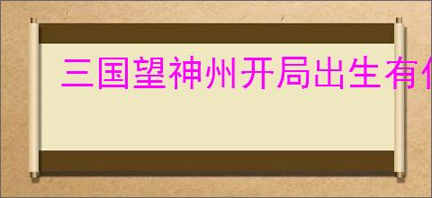 三国望神州开局出生有什么区别,三国望神州开局出生选择推荐